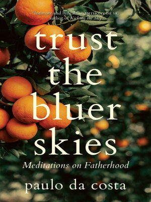 cover image of Trust the Bluer Skies